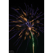 t-13-ed-199.gif