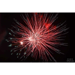 t-13-ed-204.gif
