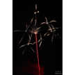 t-13-ed-206.gif