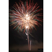 t-13-ed-208.gif