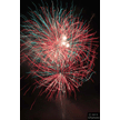t-13-ed-215.gif