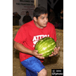 t-14-el-094.gif