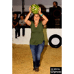 t-16-dy-034.gif