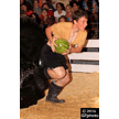 t-16-dy-049.gif