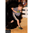 t-16-dy-061.gif