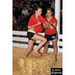 t-16-dy-068.gif