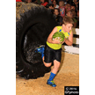 t-16-dy-086.gif