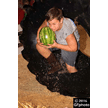 t-16-dy-090.gif