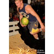 t-16-dy-092.gif