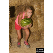 t-18-ew-018.gif