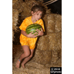 t-18-ew-061.gif