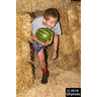 t-18-ew-066.gif