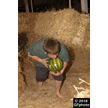 t-18-ew-081.gif