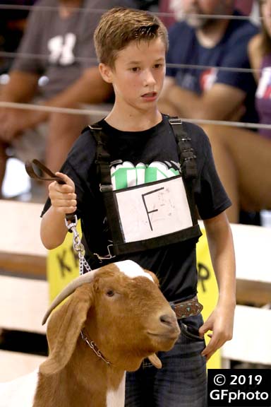 m-19-eh-089.jpg