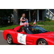 t-21-dp-018.gif