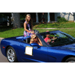 t-21-dp-037.gif
