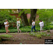 t-21-dm-018.gif