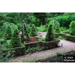 t-21-dm-025.gif