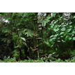 t-21-dm-042.gif