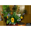 t-21-dm-046.gif